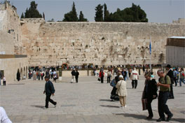146.jpg