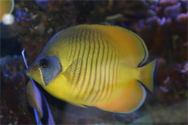 450b.jpg