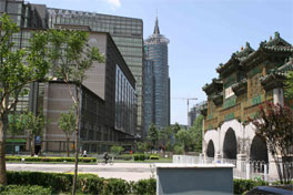 P1.jpg