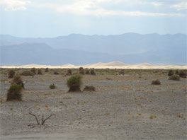 conv09_13.jpg